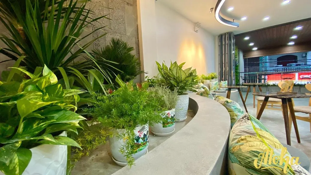 Aloha Hotel Vung Tau 3*,  Wietnam